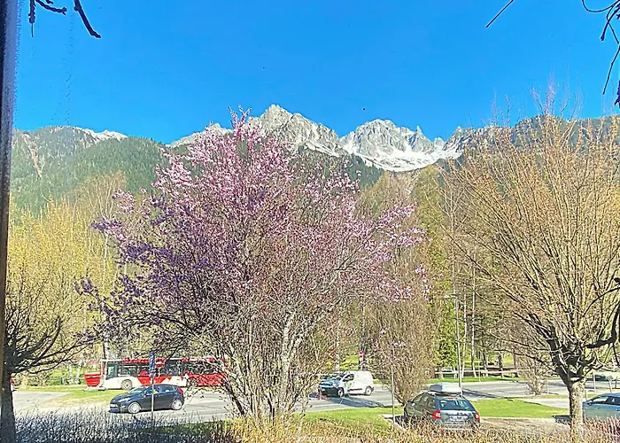 Bright, Warm 2br 2min To Gondola, Private Garden Appartamento